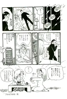 美少女パラダイス, 日本語