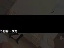 姪を犯した8日間+1, 日本語