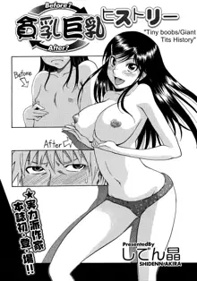 Hinyuu Kyonyuu History | Tiny Boobs Giant Tits History, English