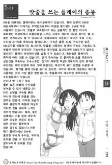 Karada mo Kokoro mo Boku no Mono ~Hajimete no SM Guide~, 한국어