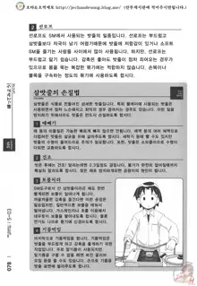 Karada mo Kokoro mo Boku no Mono ~Hajimete no SM Guide~, 한국어