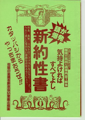 新約性書, 日本語