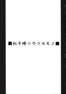 紅キ瞳ニウツルモノ, 日本語