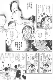 大正ヲトメ花壇, 日本語