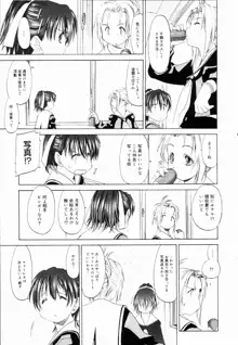 少女セクト + 虎の穴配布ペーパー, 日本語