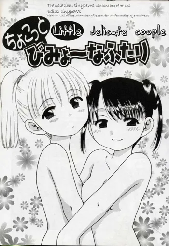 Chokotto Bimyou na Futari | Little Delicate Couple, English