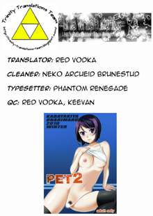 PET 2, English