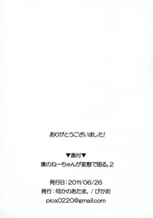 僕のねーちゃんが変態で困る。2, 日本語