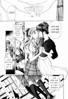 Shoujo Seiiki, 한국어