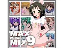 MAX-MIX vol.9, 日本語