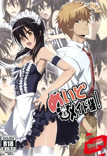 Meid in Maid-sama!