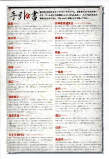 攻略＆設定資料集, 日本語