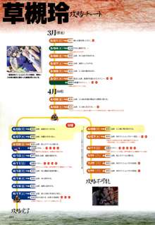 攻略＆設定資料集, 日本語