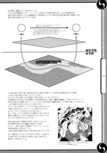 しじゅうしちのゆうきとつるぎ 47 braves&blades ～大嘘忠臣蔵～ ドキッ！女しかいない四十七士 VS キラ軍団, 日本語