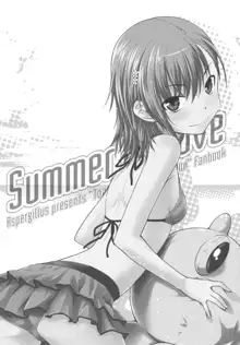 Summer Of Love, 中文