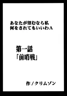 停波総集編, 日本語