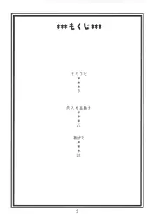 ナミの航海日誌EX ナミロビ, 日本語