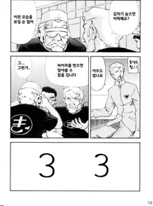 Asuka Trial 2, 한국어