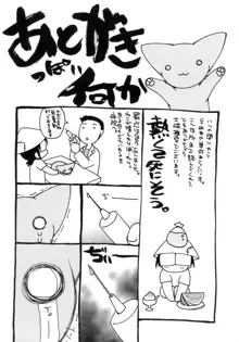 激しさと甘い囁き, 日本語