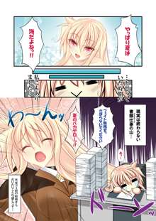 FATE COLLECTION II, 日本語