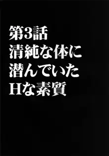 ヴァージントレイン, 日本語