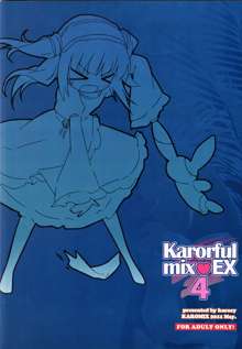 karorful mix EX4, 中文