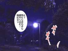 全裸少女と夜の公園で!!, 日本語