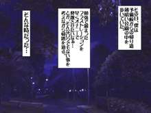 全裸少女と夜の公園で!!, 日本語