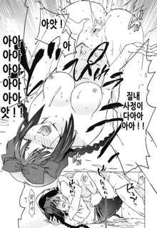 Oneechan to Imouto ha Ore no Yome, 한국어