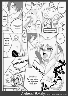 Kemono no Oyome-san 2 | Animal Bride 2, Español