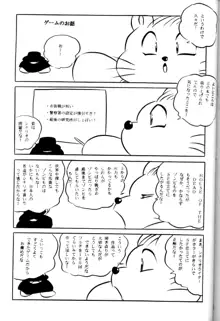 CAT'S EYE, 日本語