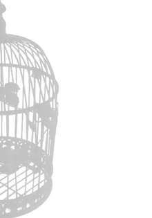 IDOLTIME SPECIAL BOOK YUKIHO HAGIWARA in the Bird Cage, 한국어