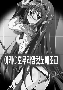 Akemi Homura Mesudorei Choukyou, 한국어