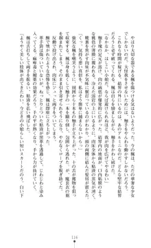 魔術師とアルカナの化身, 日本語