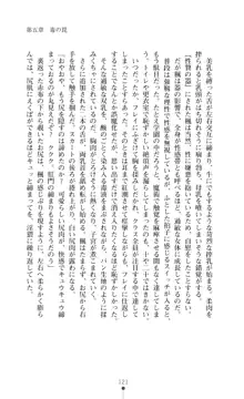 魔術師とアルカナの化身, 日本語