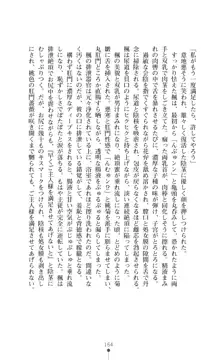 魔術師とアルカナの化身, 日本語