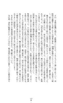 魔術師とアルカナの化身, 日本語