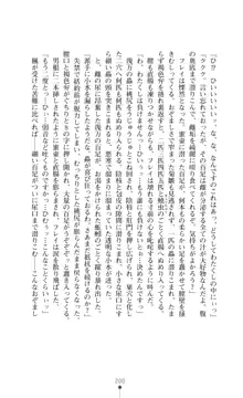 魔術師とアルカナの化身, 日本語