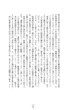 魔術師とアルカナの化身, 日本語