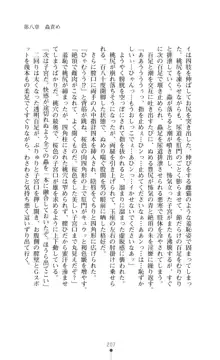 魔術師とアルカナの化身, 日本語