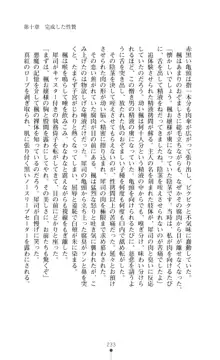 魔術師とアルカナの化身, 日本語