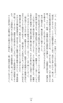 魔術師とアルカナの化身, 日本語