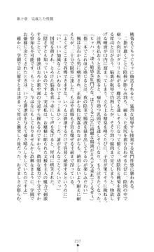 魔術師とアルカナの化身, 日本語