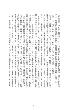 魔術師とアルカナの化身, 日本語