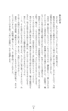 魔術師とアルカナの化身, 日本語