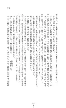 魔術師とアルカナの化身, 日本語