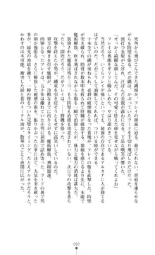 魔術師とアルカナの化身, 日本語