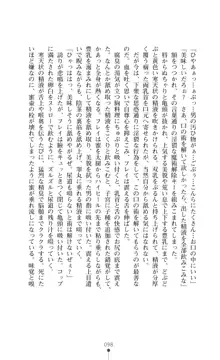 魔術師とアルカナの化身, 日本語