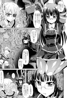 仙獄学艶戦姫ノブナガッ！ ～淫華繚乱、水着大戦！～ 【限定版】, 日本語