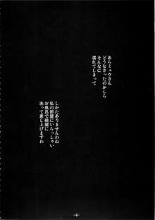 薬用石鹸みゅ～ズ, 日本語